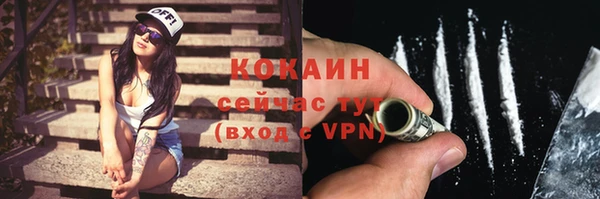 твердый Горно-Алтайск