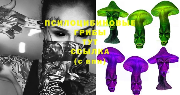 твердый Горно-Алтайск
