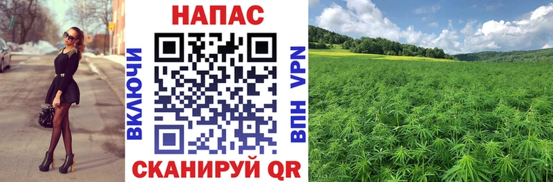 Бошки Шишки SATIVA & INDICA  Купить где  Мариинский Посад 